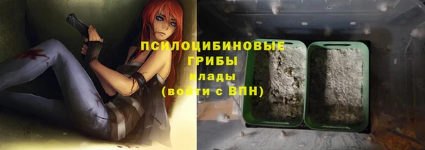 герыч Гусь-Хрустальный