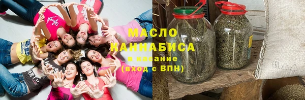 дурь Гусев