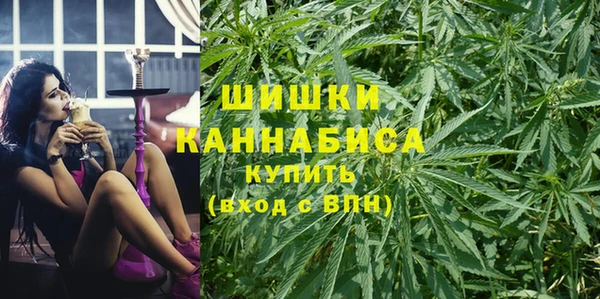 дурь Гусев