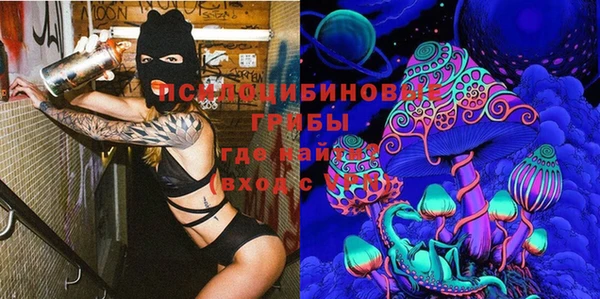 герыч Гусь-Хрустальный