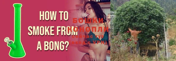 прущие крисы Гусиноозёрск