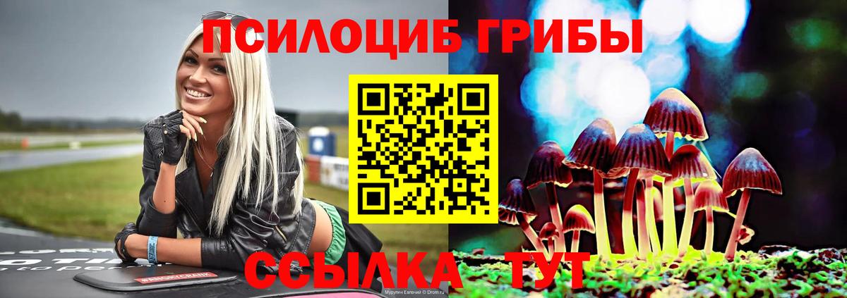 Псилоцибиновые грибы мухоморы Донской
