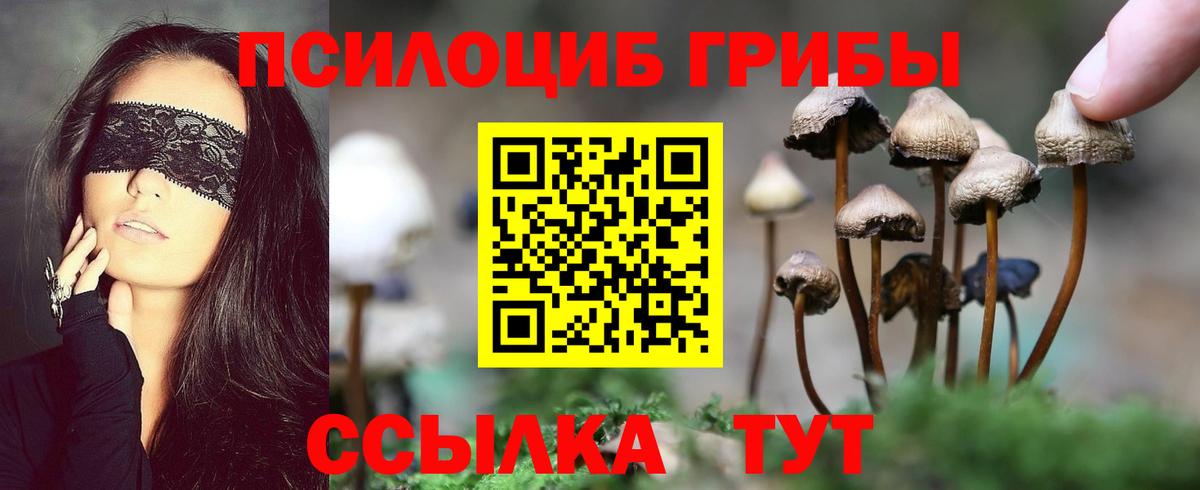 Галлюциногенные грибы Psilocybine cubensis  Вход с VPN  дарнет шоп  Донской 